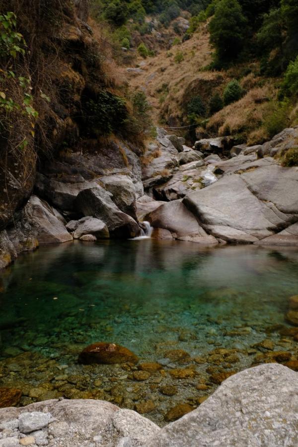 麦罗肯机 Mitra Mcleodganj旅舍 外观 照片